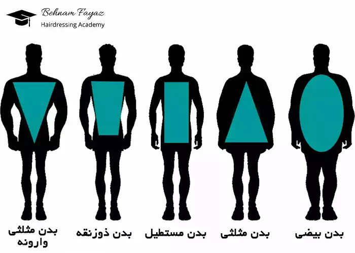 شناخت شکل بدن در علم مورفولوژی در آرایشگری